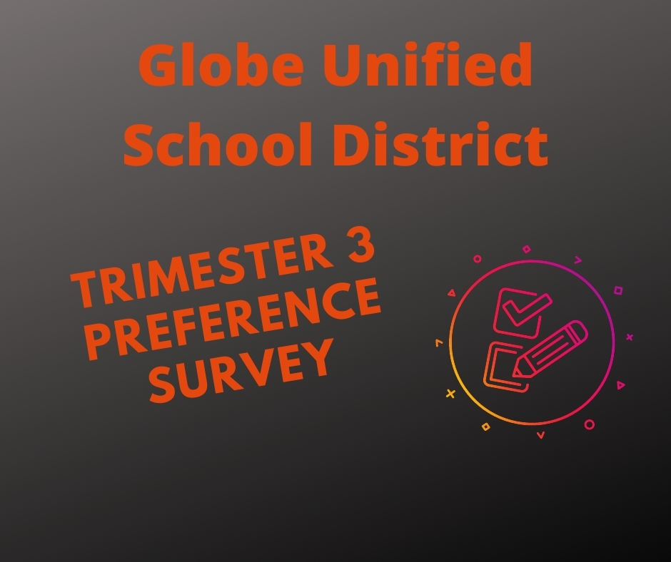 Trimester 3 Preference Survey