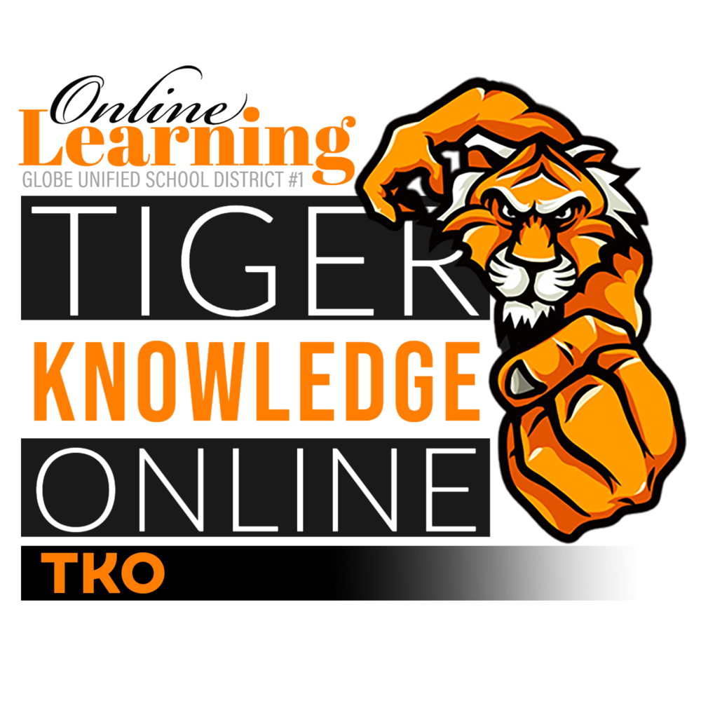 Tiger Knowledge Online Academy
