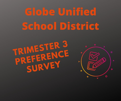 Trimester 3 Preference Survey